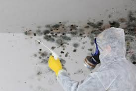 Mold Odor Removal Services in Bessemer City, NC